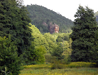 Buntsandsteinfelsen im Wasgau - Foto: K.Faul